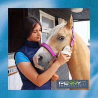 Perry Equestrian - Everything for your Horse & Stable